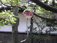 engawa1117002013.jpg