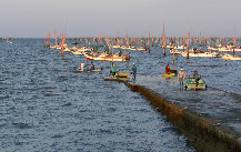 engawa1117006013.jpg