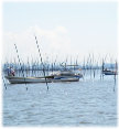 engawa1117008014.jpg