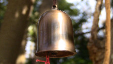 engawa1117016004.jpg
