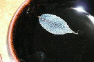 engawa1117016009.jpg