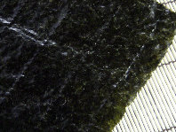engawa1117016011.jpg