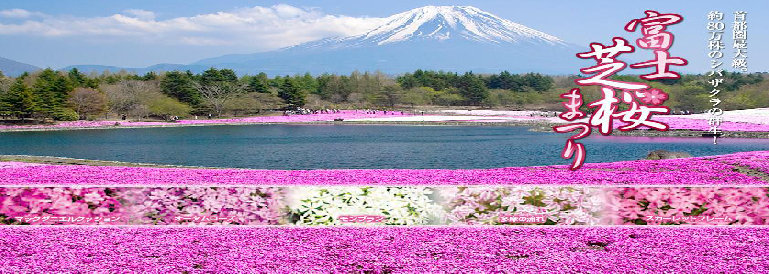 2dayskawaguchikubustour001006.jpg