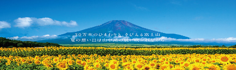 2daysbustourflower001001.jpg