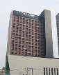 sogopage012048.jpg