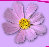 sakura2016001001.jpg